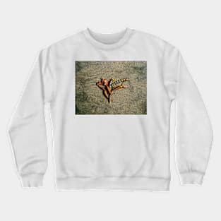 A Sea Sculpture Crewneck Sweatshirt